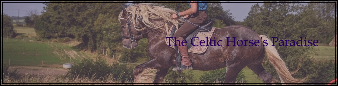 The Celtic Horse's Paradise